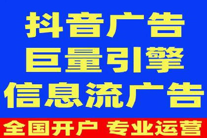 不同平台的SEM广告投放比较及成功案例分析